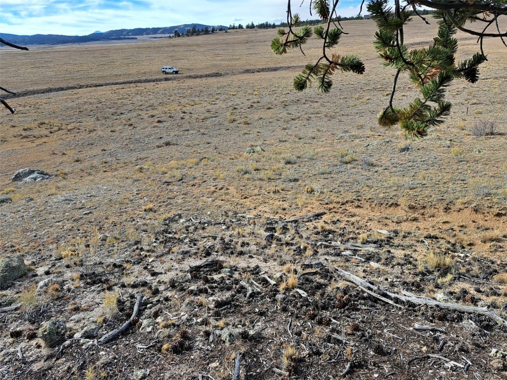 1282 Ute Trace Hartsel CO 80449