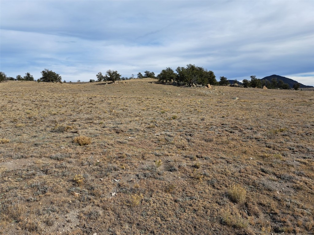 1282 Ute Trace Hartsel CO 80449
