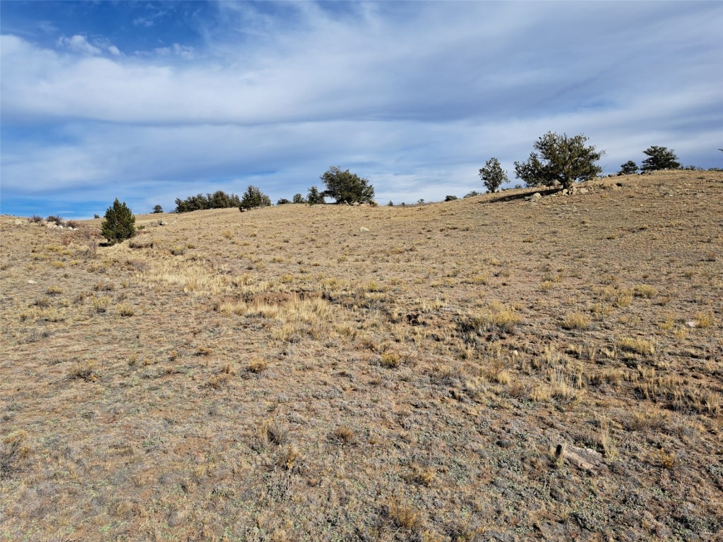 1282 Ute Trace Hartsel CO 80449