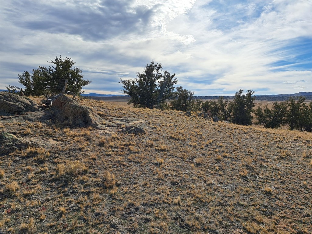 1282 Ute Trace Hartsel CO 80449