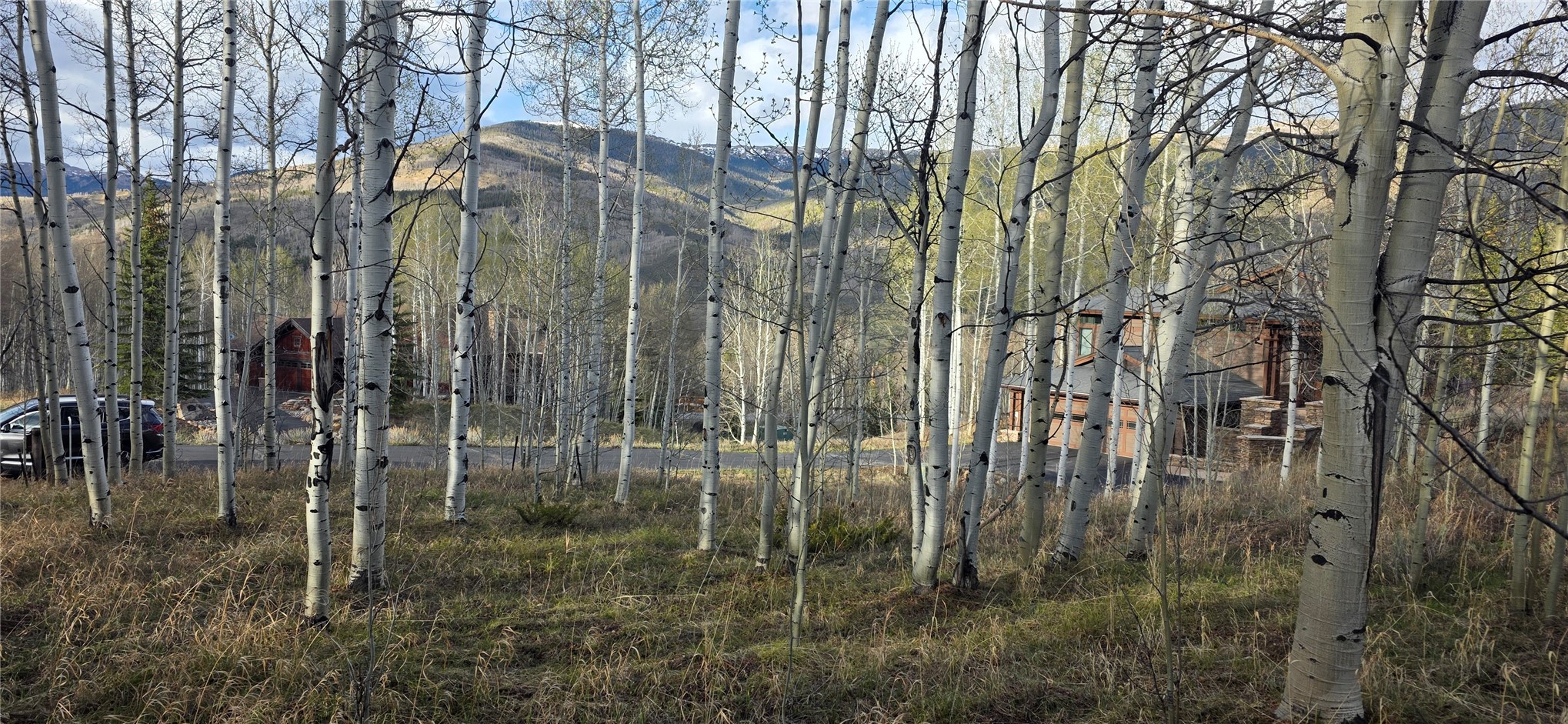 2180 Currant Way Silverthorne CO 80498