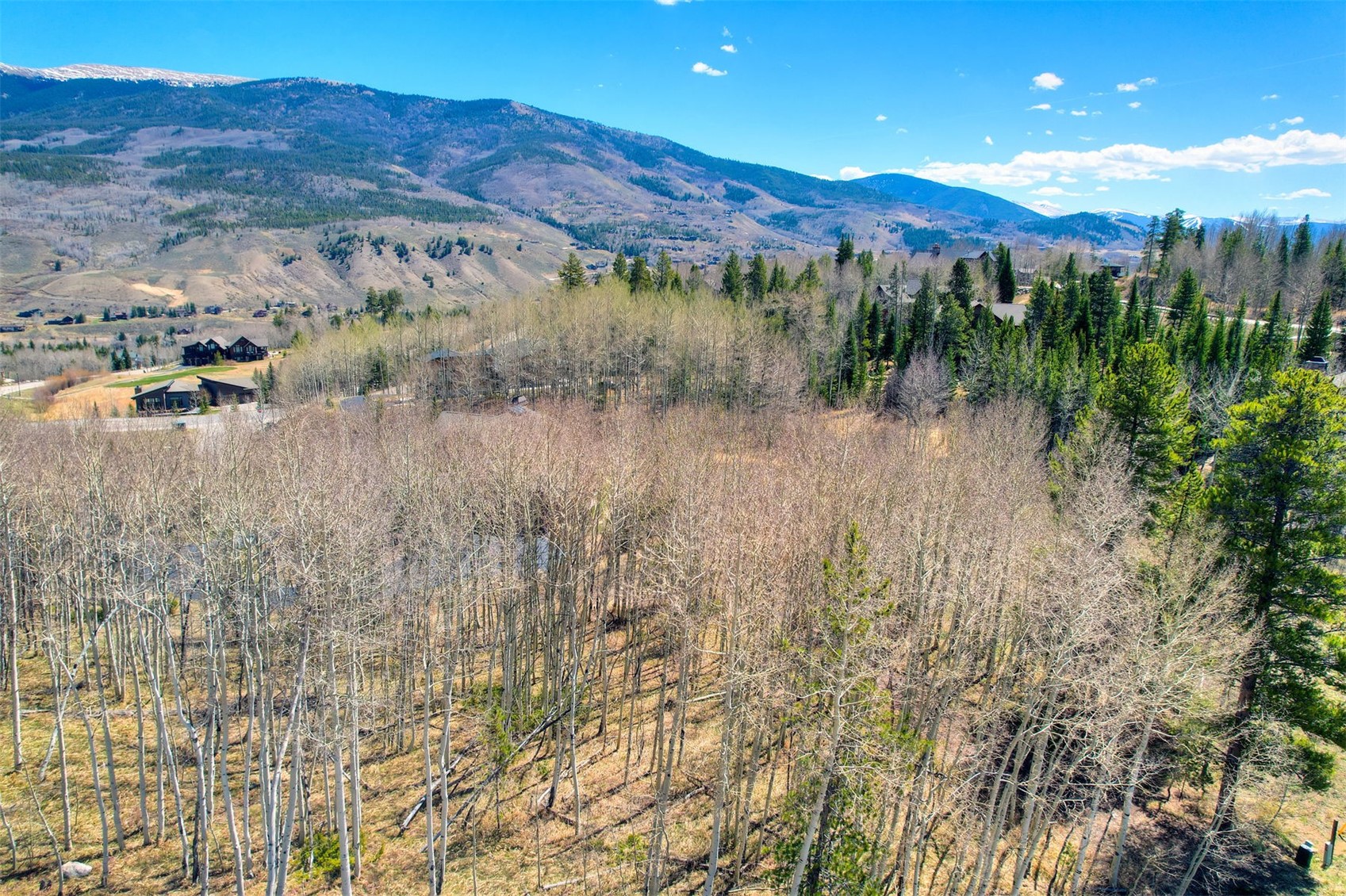 2180 Currant Way Silverthorne CO 80498