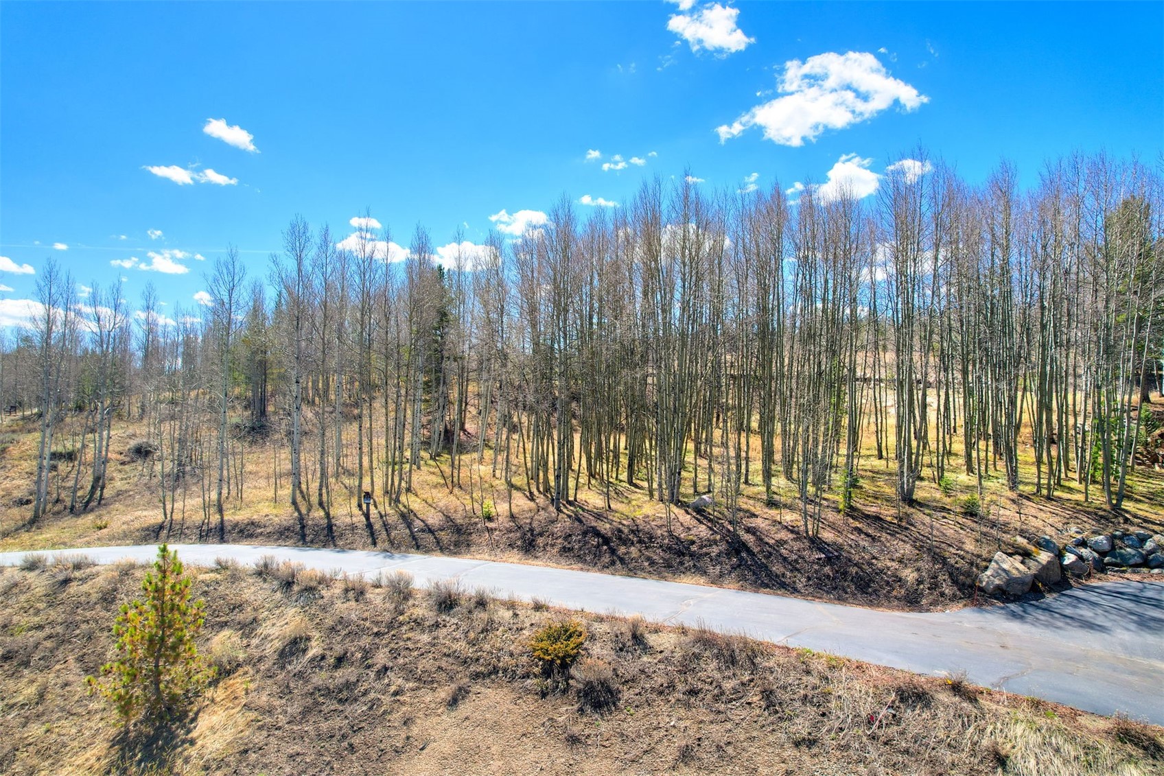 2180 Currant Way Silverthorne CO 80498