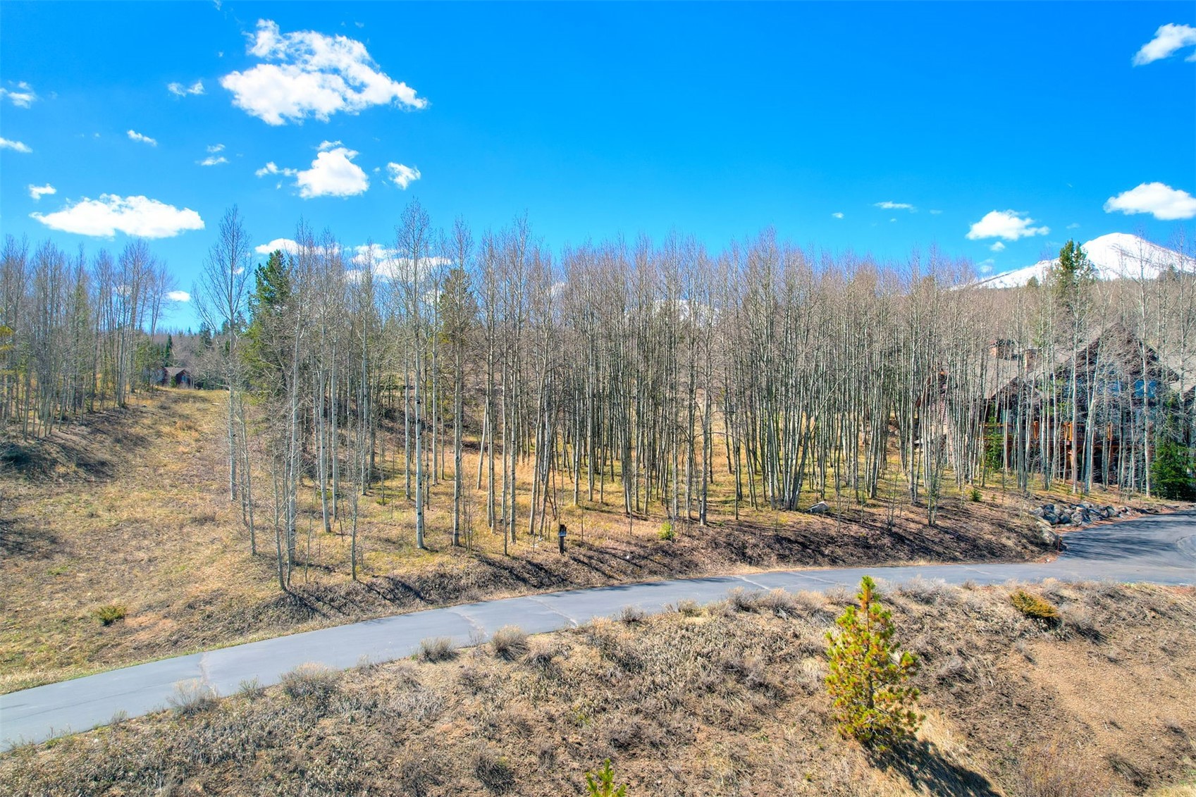 2180 Currant Way Silverthorne CO 80498