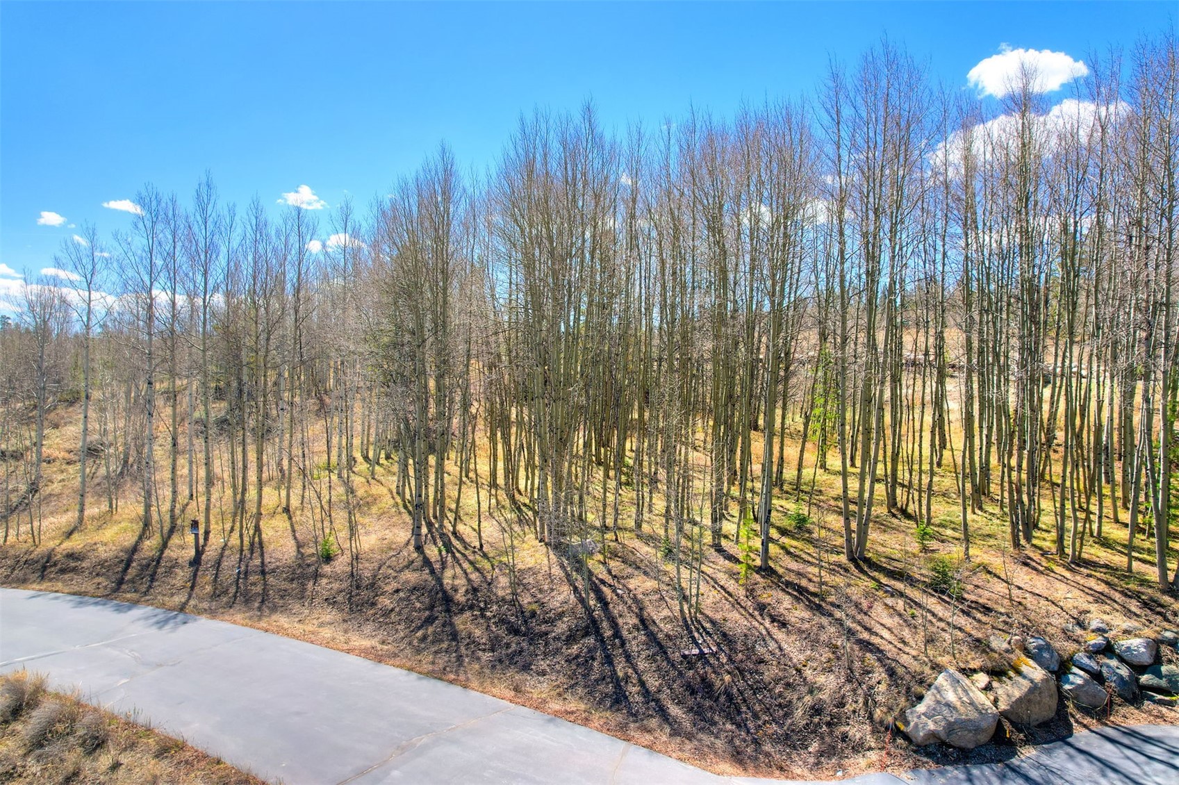 2180 Currant Way Silverthorne CO 80498