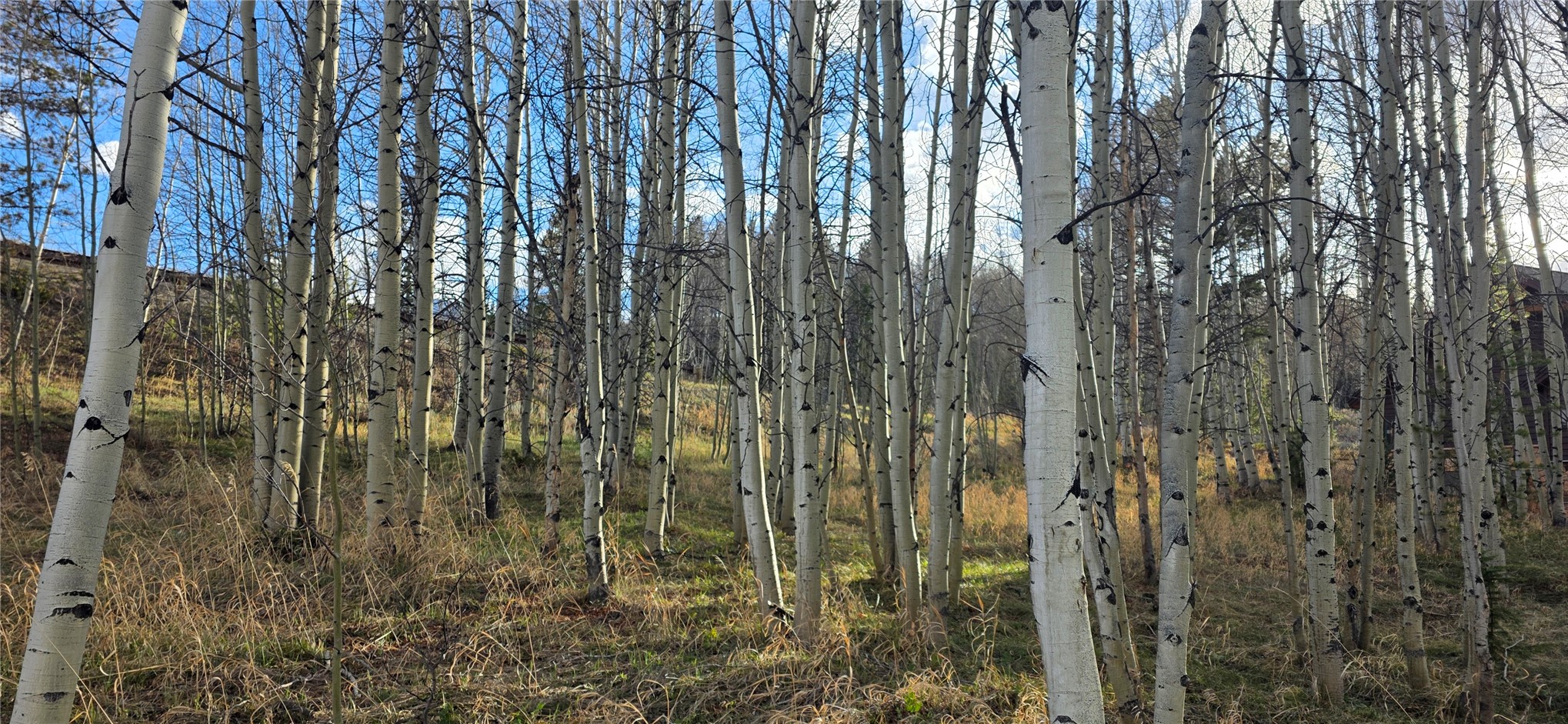 2180 Currant Way Silverthorne CO 80498