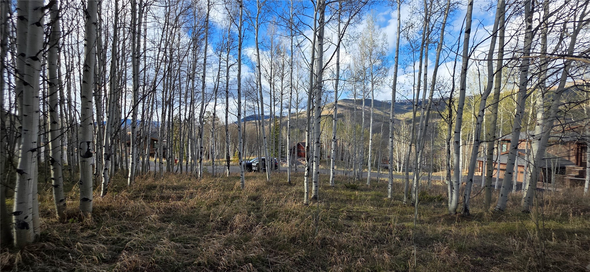 2180 Currant Way Silverthorne CO 80498
