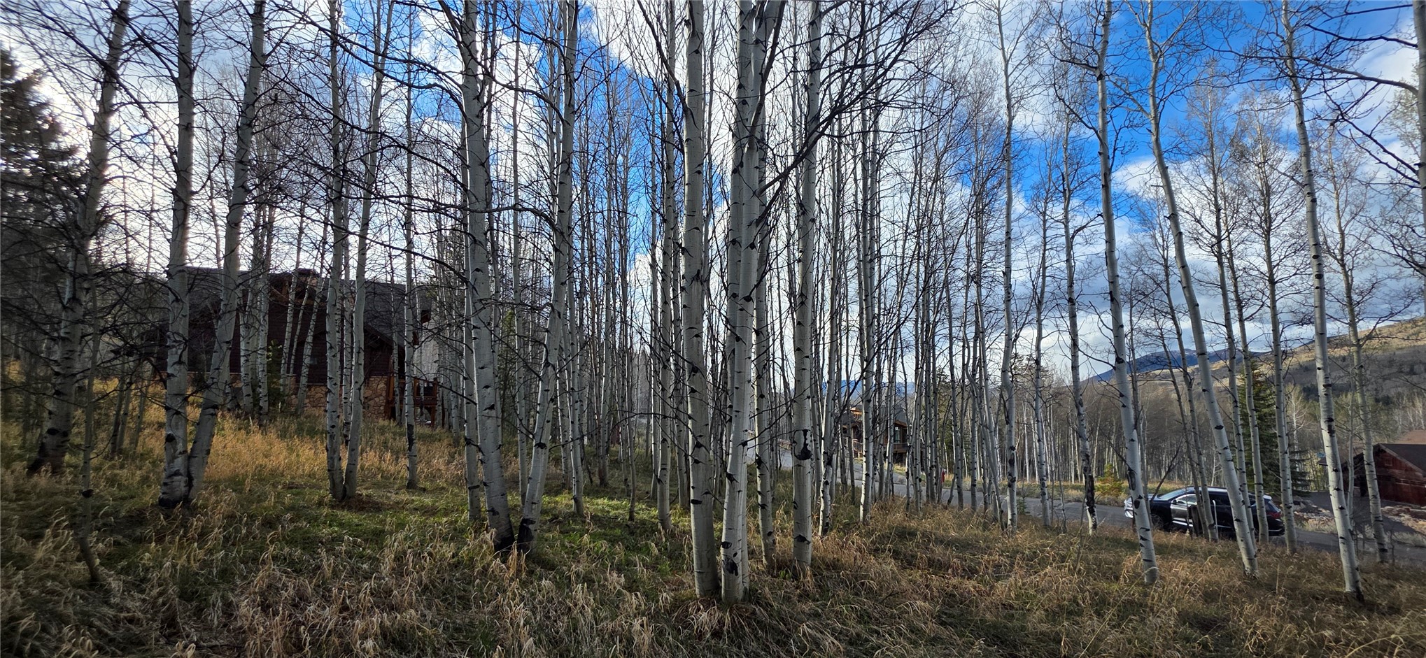 2180 Currant Way Silverthorne CO 80498