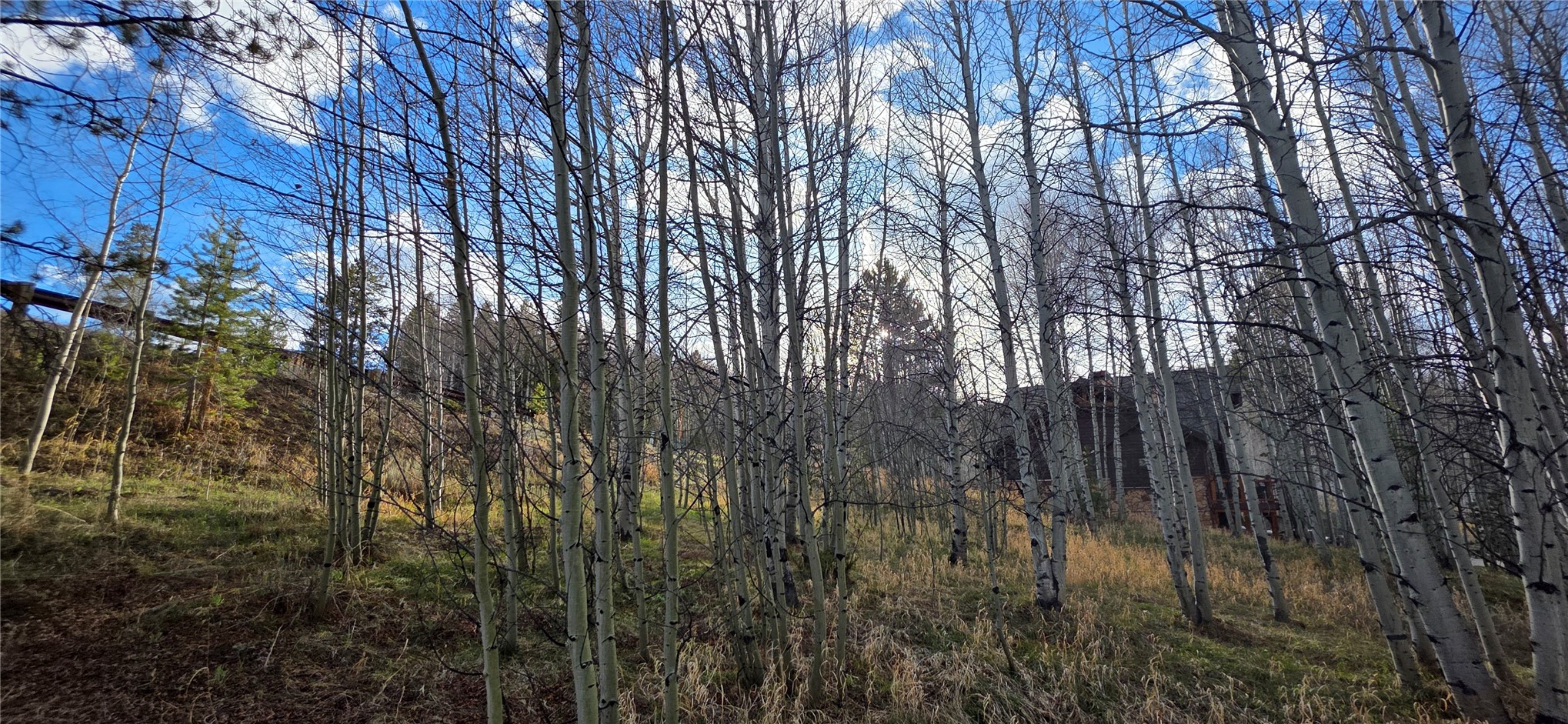 2180 Currant Way Silverthorne CO 80498