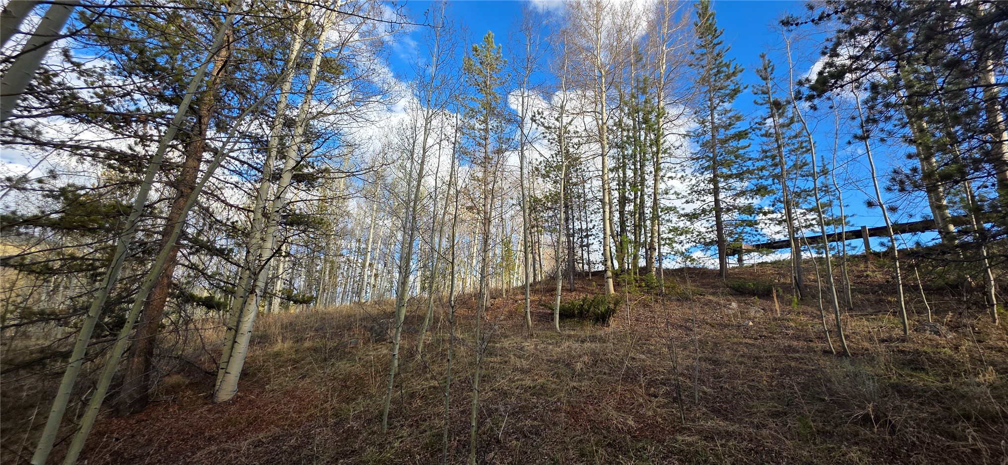 2180 Currant Way Silverthorne CO 80498
