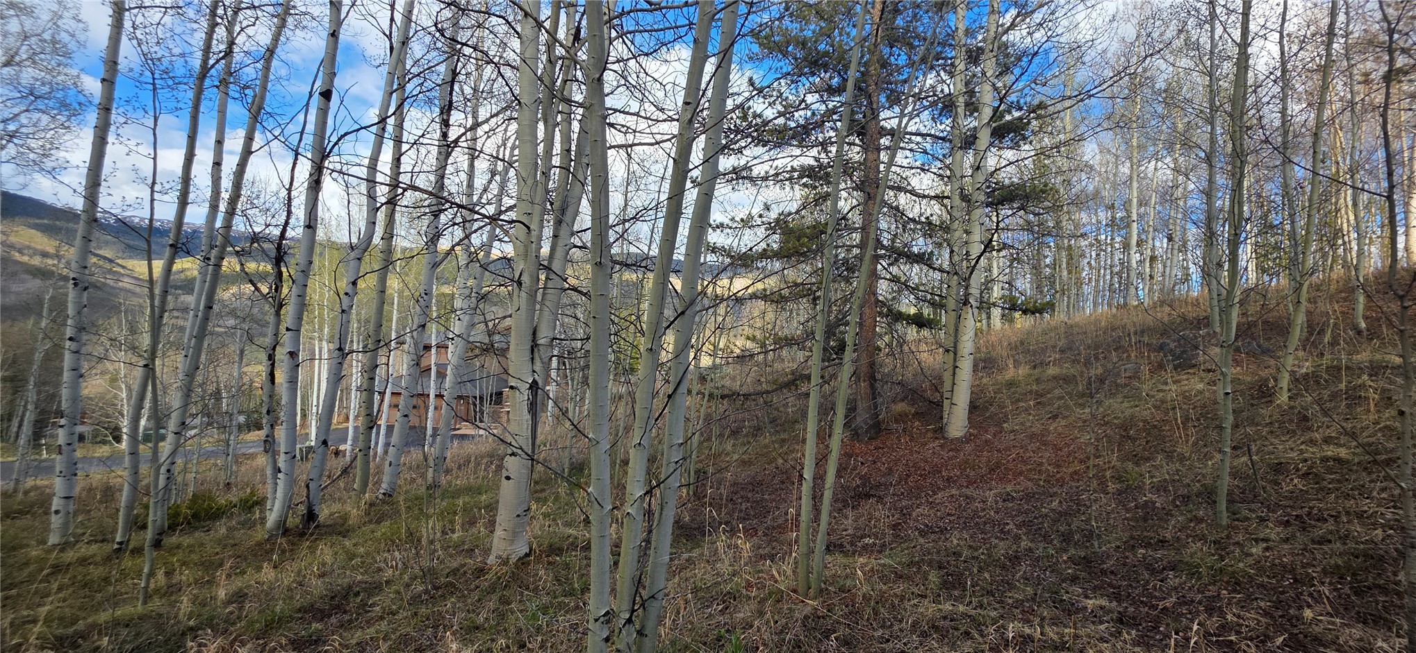2180 Currant Way Silverthorne CO 80498