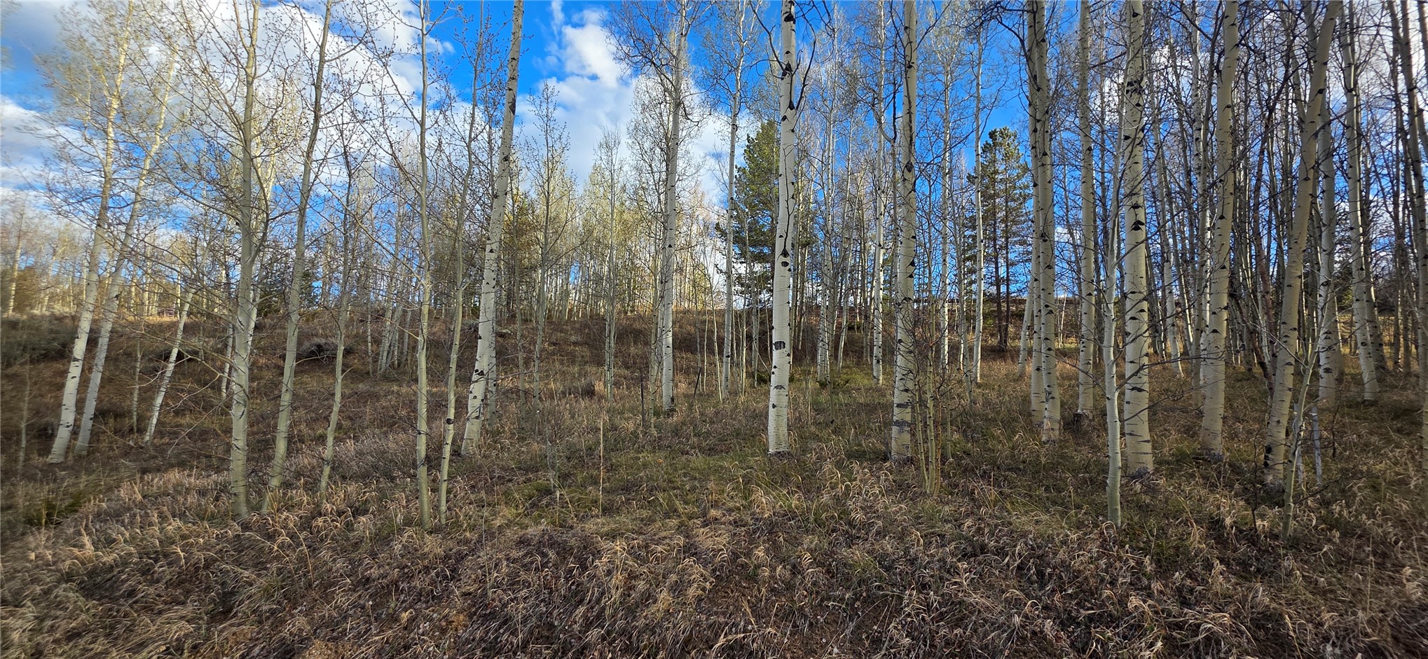 2180 Currant Way Silverthorne CO 80498