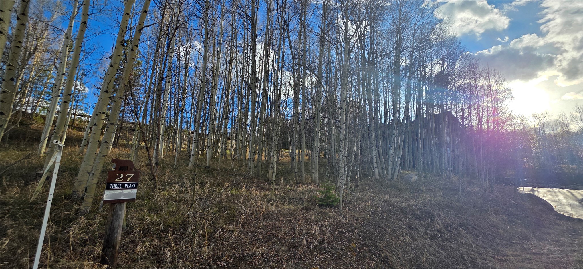 2180 Currant Way Silverthorne CO 80498