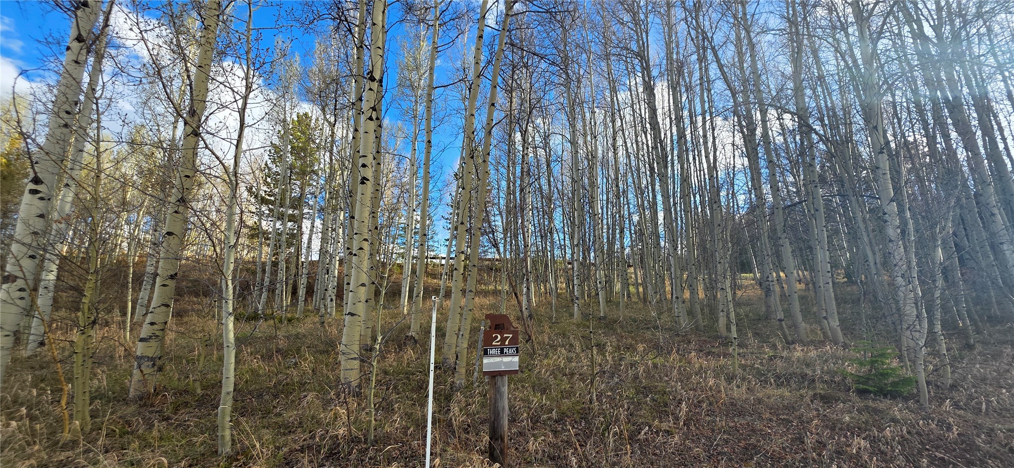 2180 Currant Way Silverthorne CO 80498