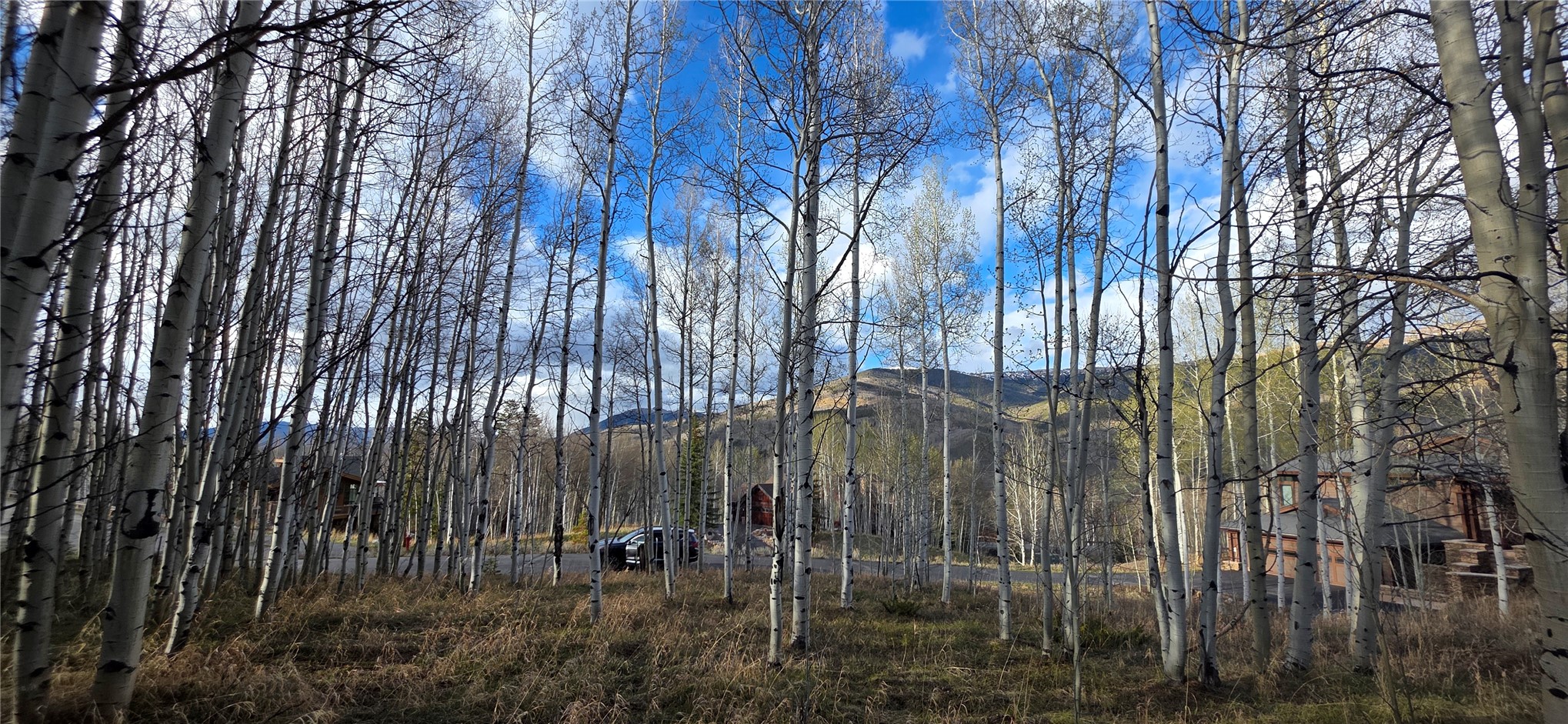 2180 Currant Way Silverthorne CO 80498