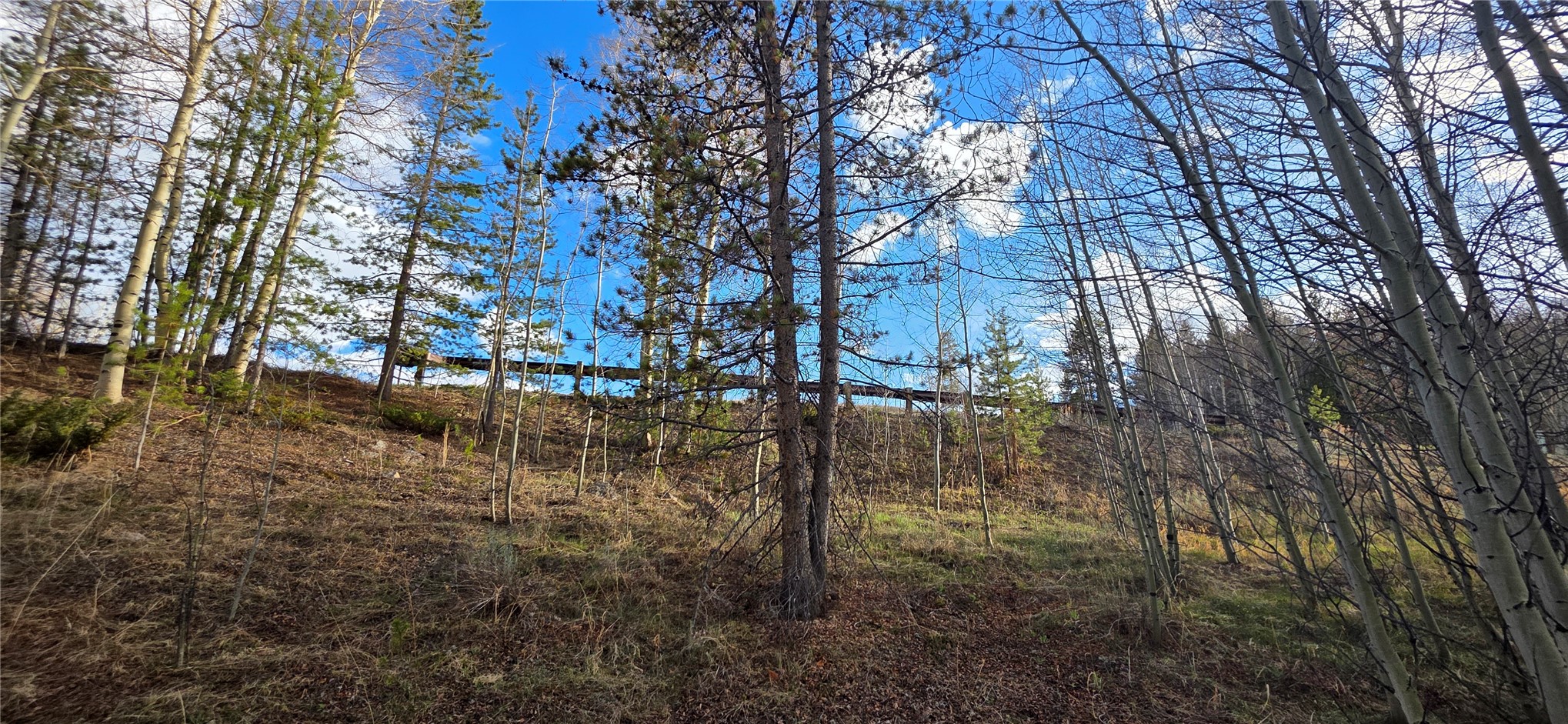 2180 Currant Way Silverthorne CO 80498