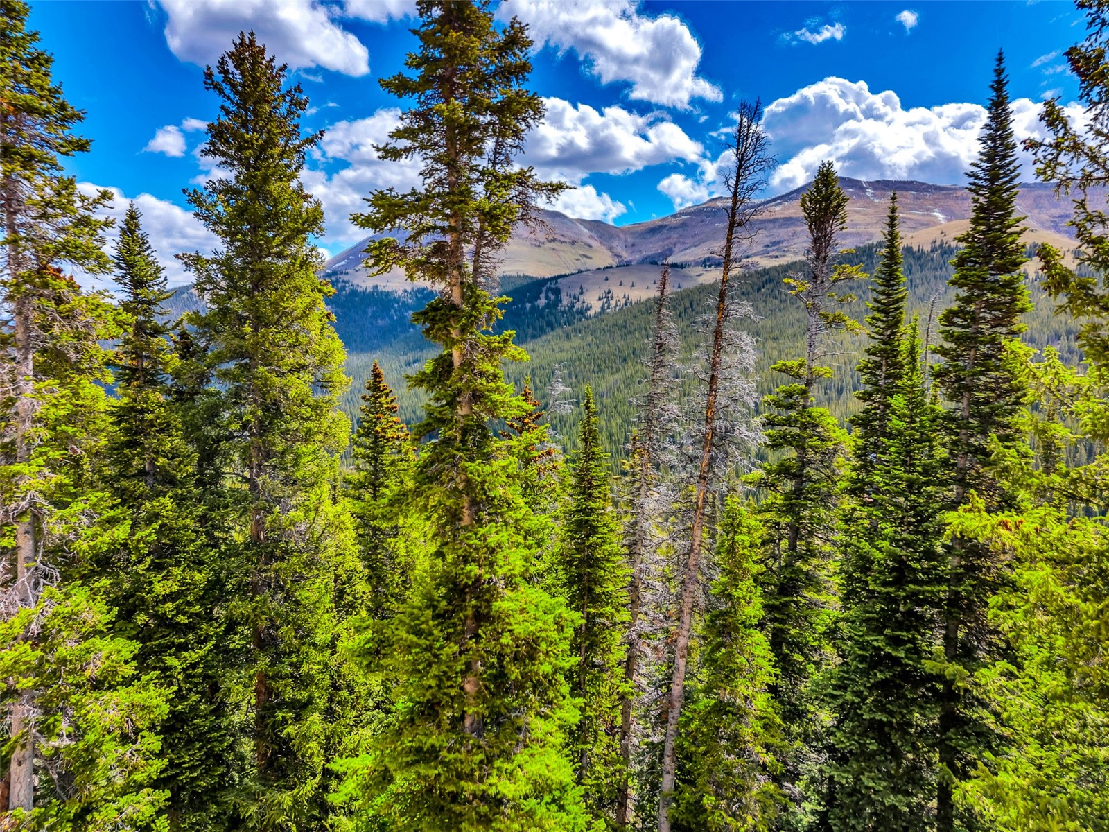 105 & 71 Quandary View Breckenridge CO 80424