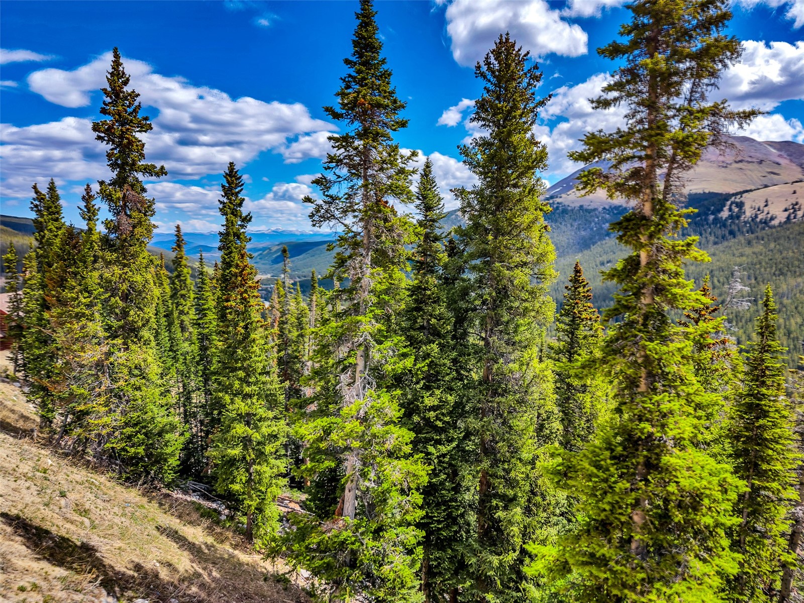 105 & 71 Quandary View Breckenridge CO 80424