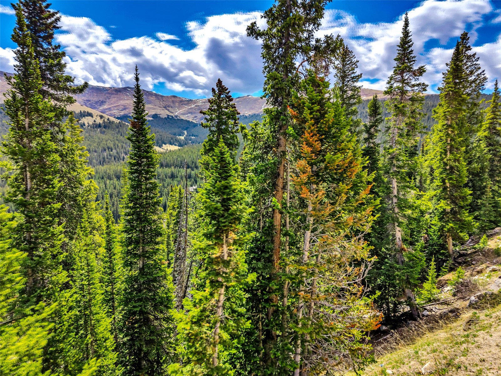 105 & 71 Quandary View Breckenridge CO 80424