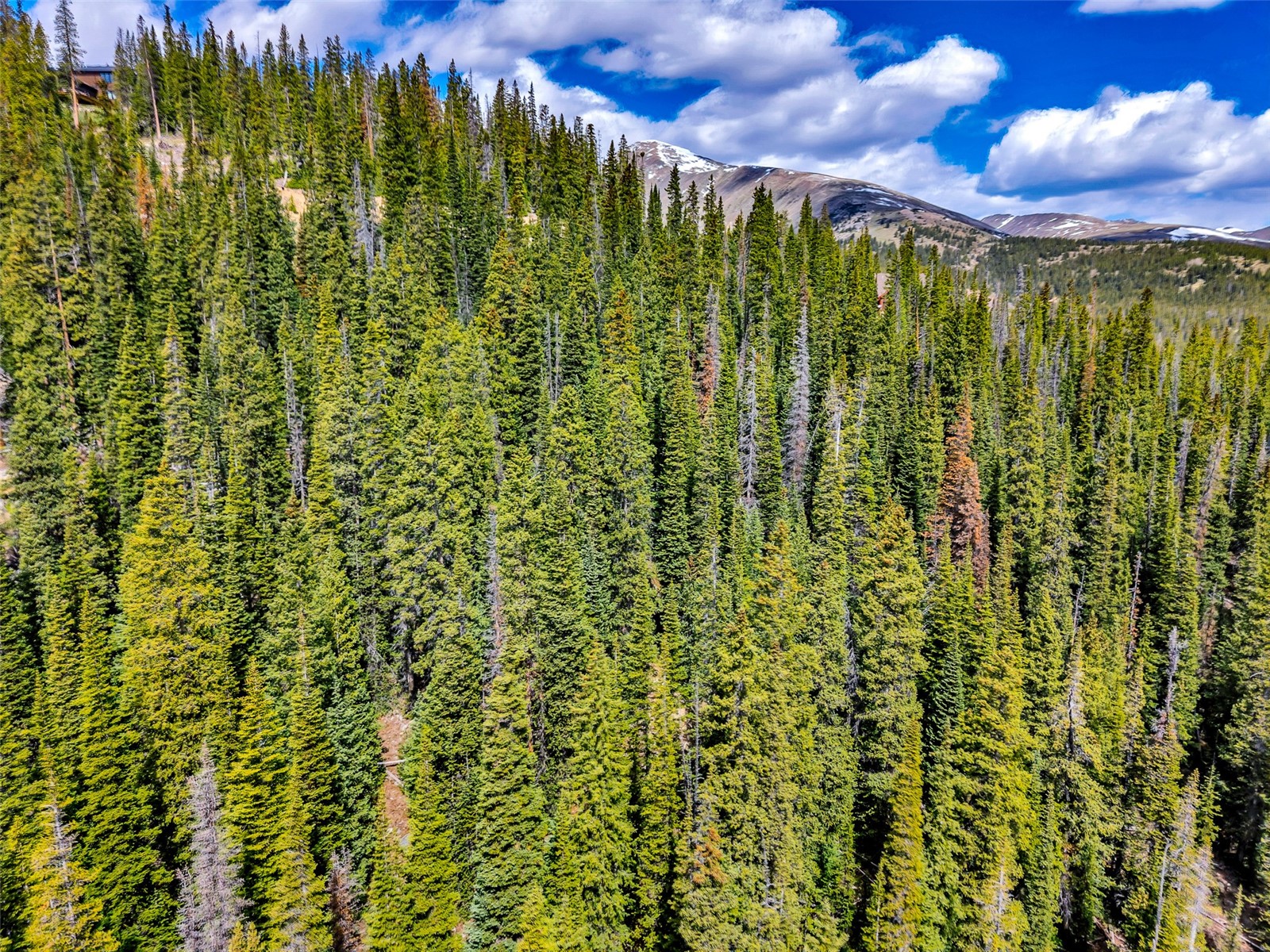105 & 71 Quandary View Breckenridge CO 80424