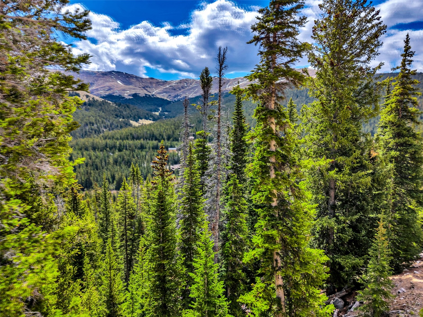 105 & 71 Quandary View Breckenridge CO 80424