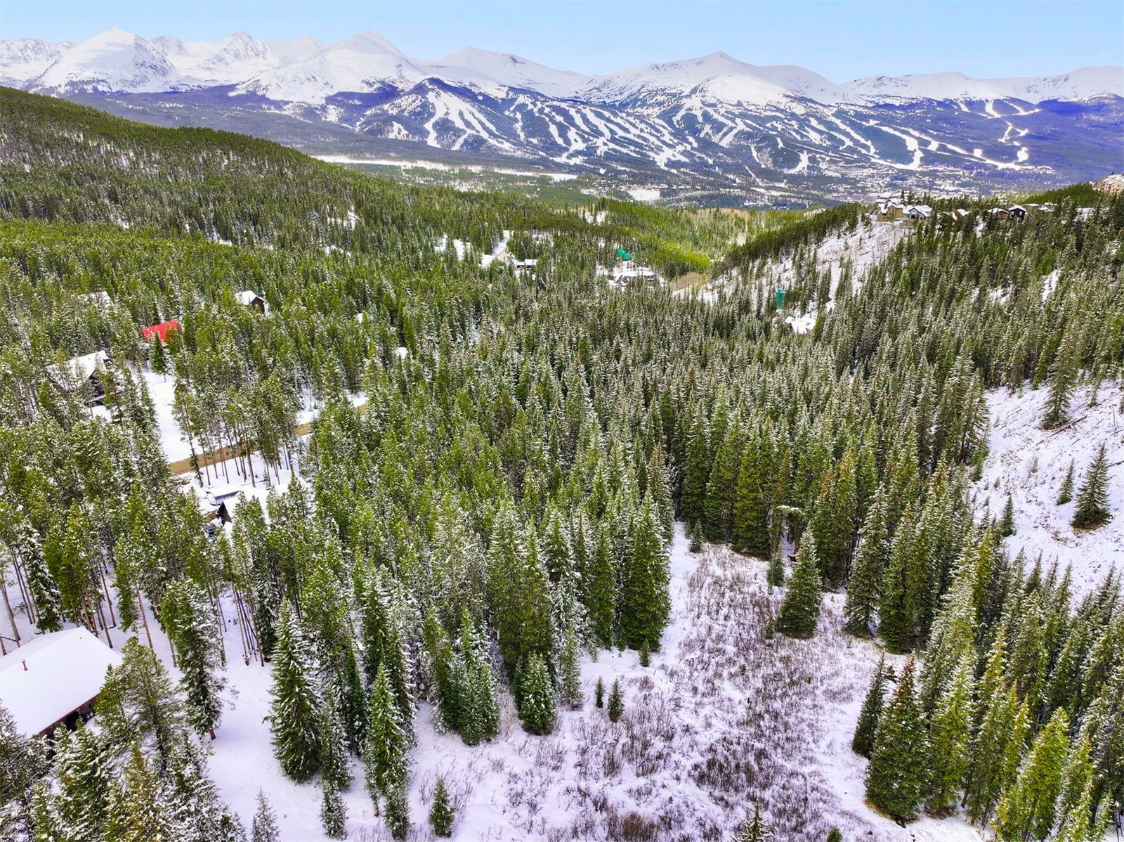 207 Cr 528 Breckenridge CO 80424