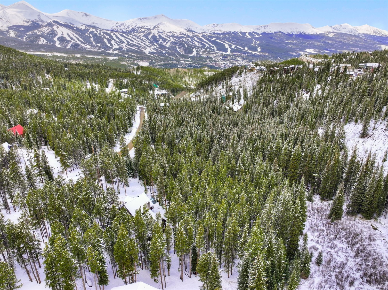 207 Cr 528 Breckenridge CO 80424