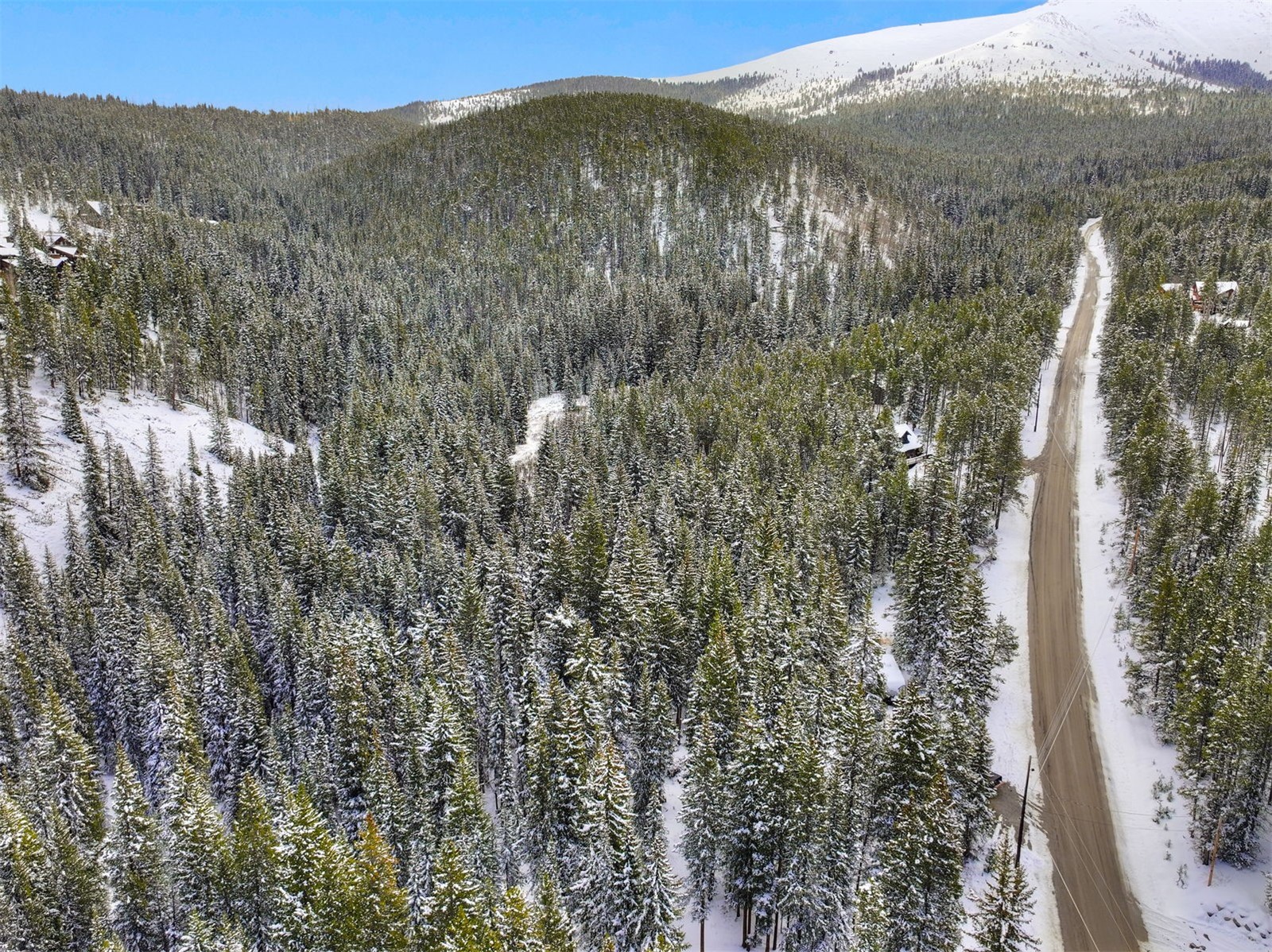 207 Cr 528 Breckenridge CO 80424
