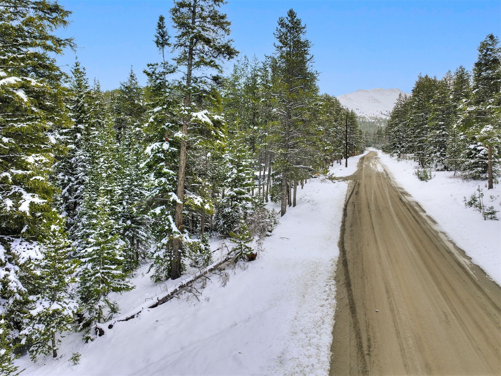 207 Cr 528 Breckenridge CO 80424