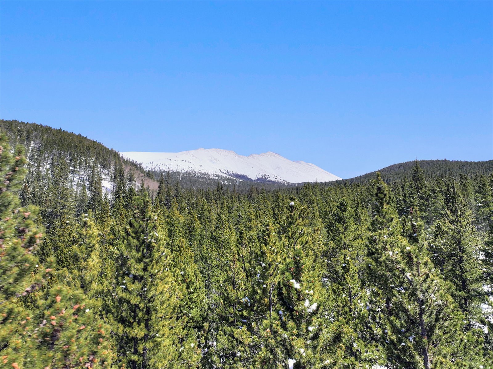 207 Cr 528 Breckenridge CO 80424