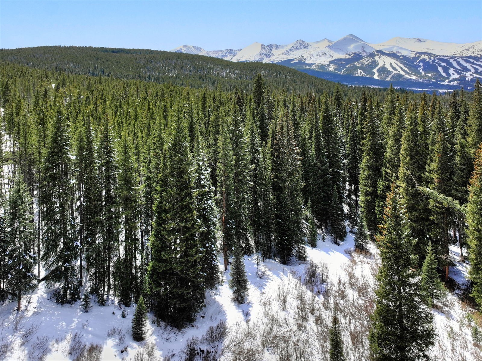 207 Cr 528 Breckenridge CO 80424