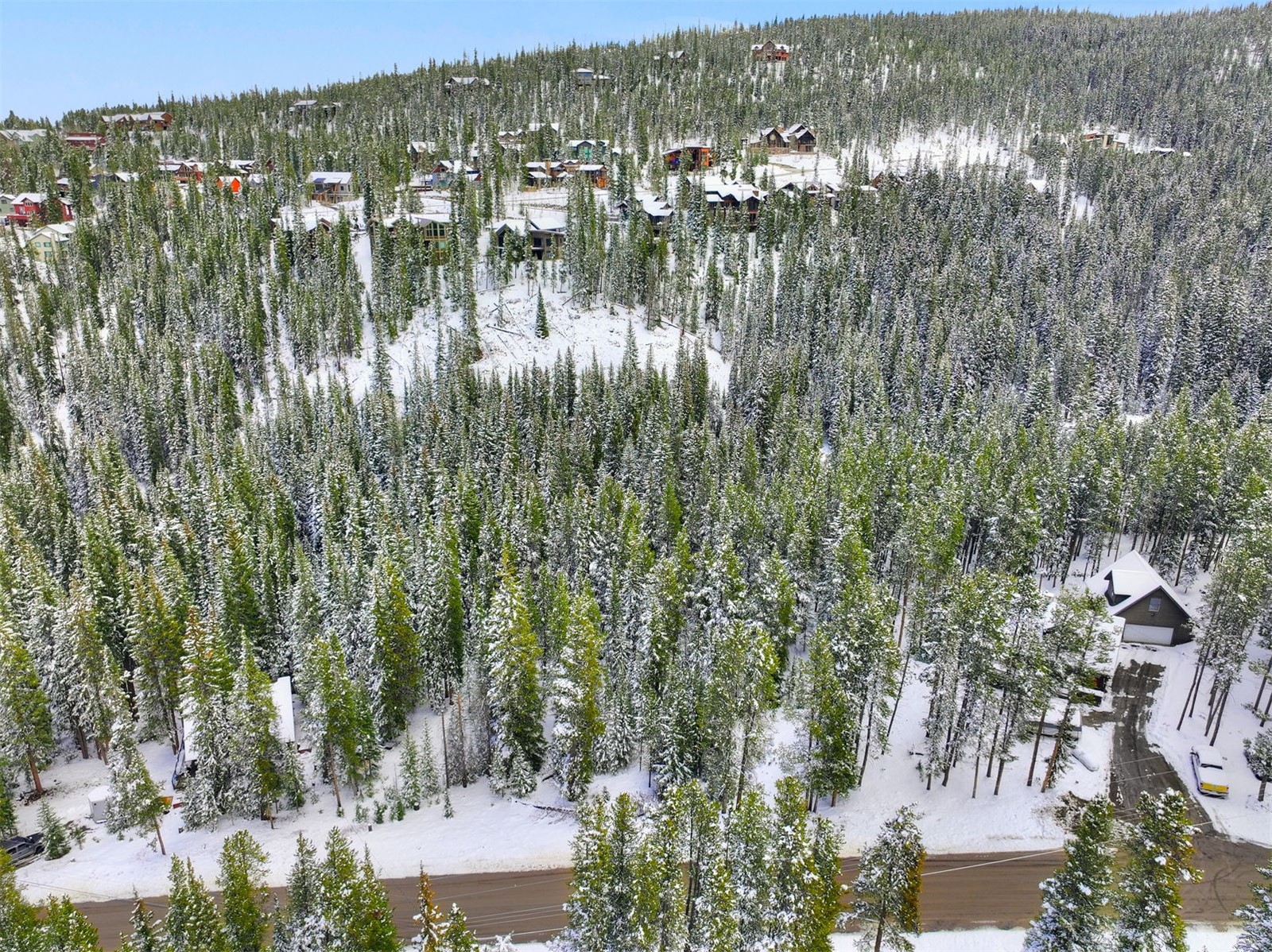 207 Cr 528 Breckenridge CO 80424
