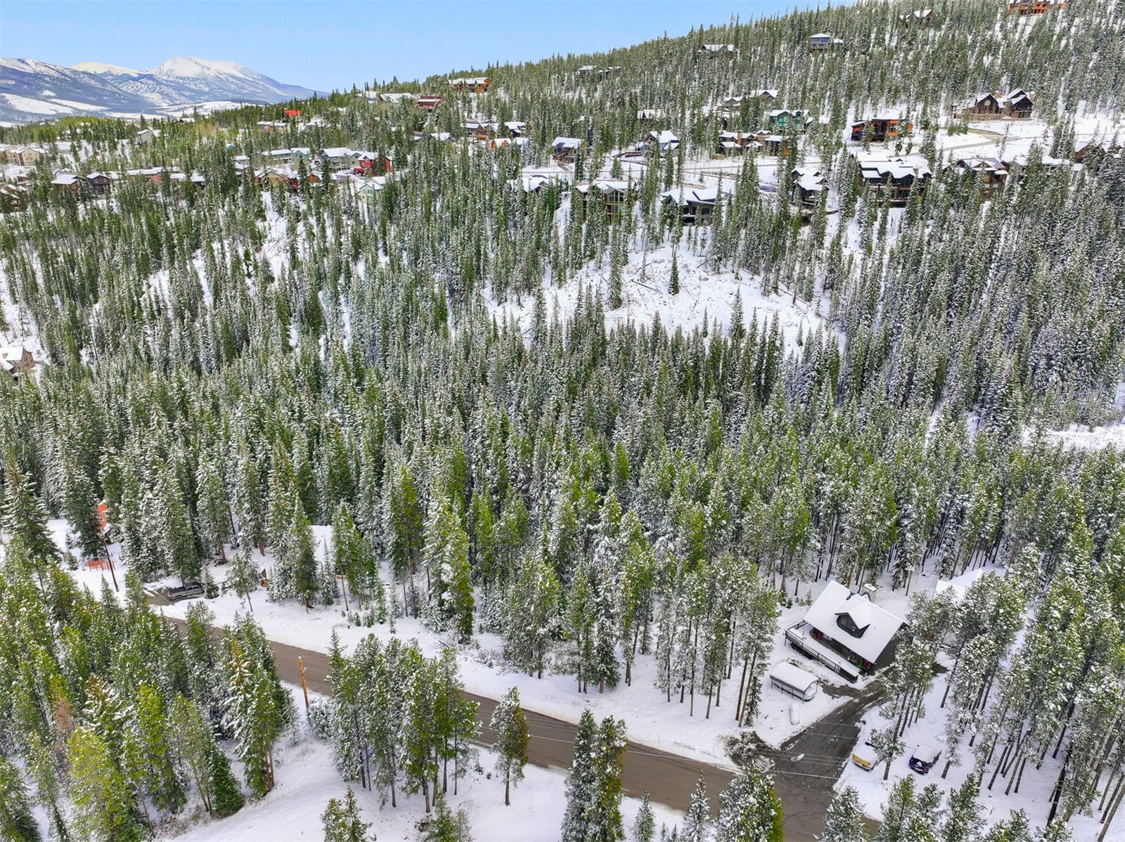 207 Cr 528 Breckenridge CO 80424