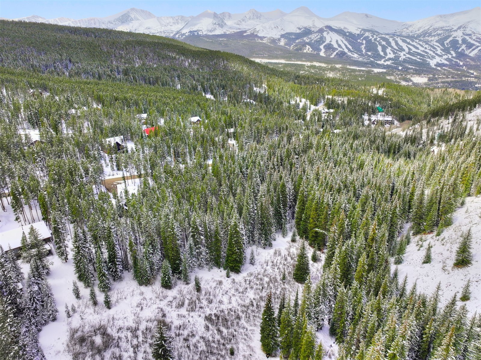 207 Cr 528 Breckenridge CO 80424