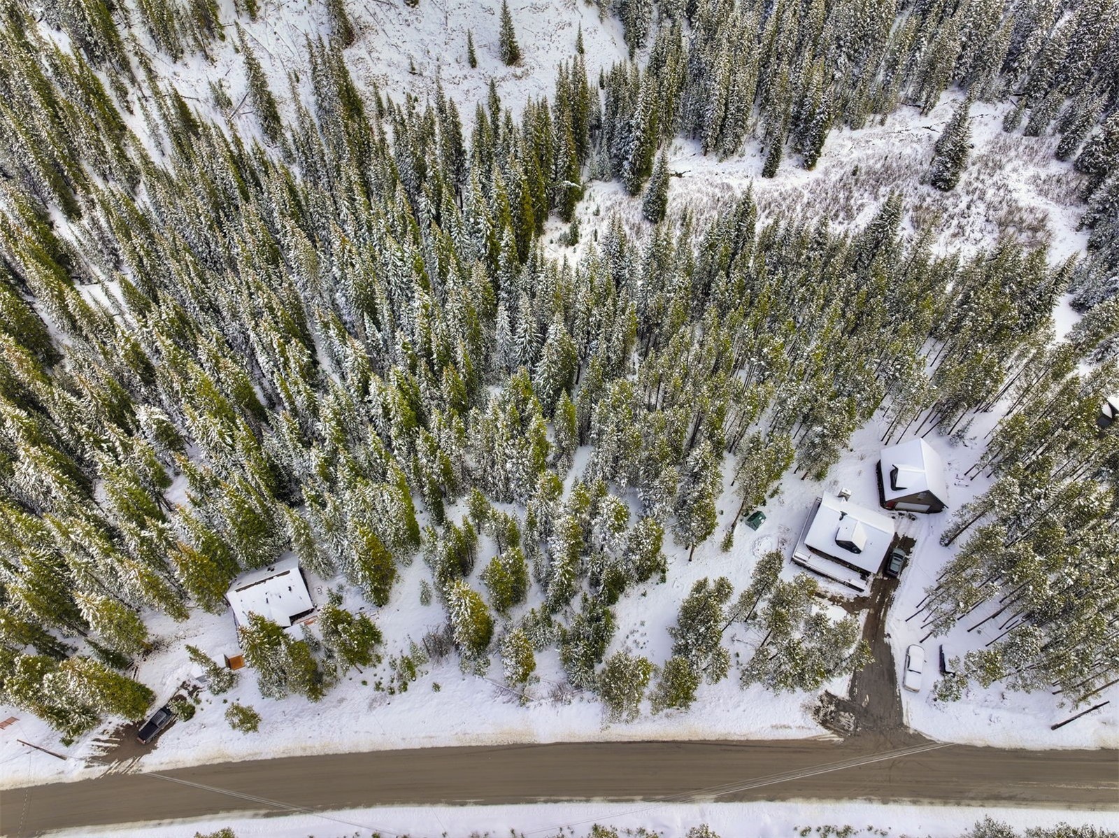 207 Cr 528 Breckenridge CO 80424