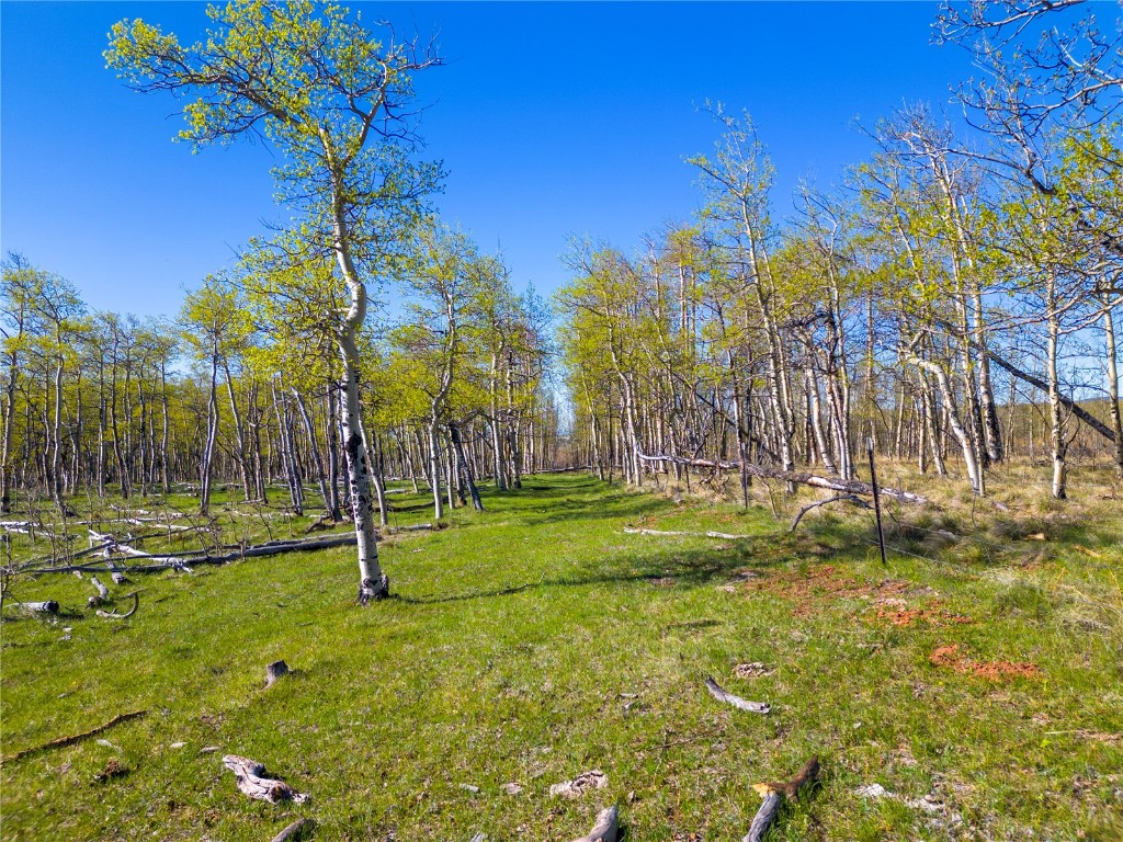25335 Us Highway 285 Fairplay CO 80440