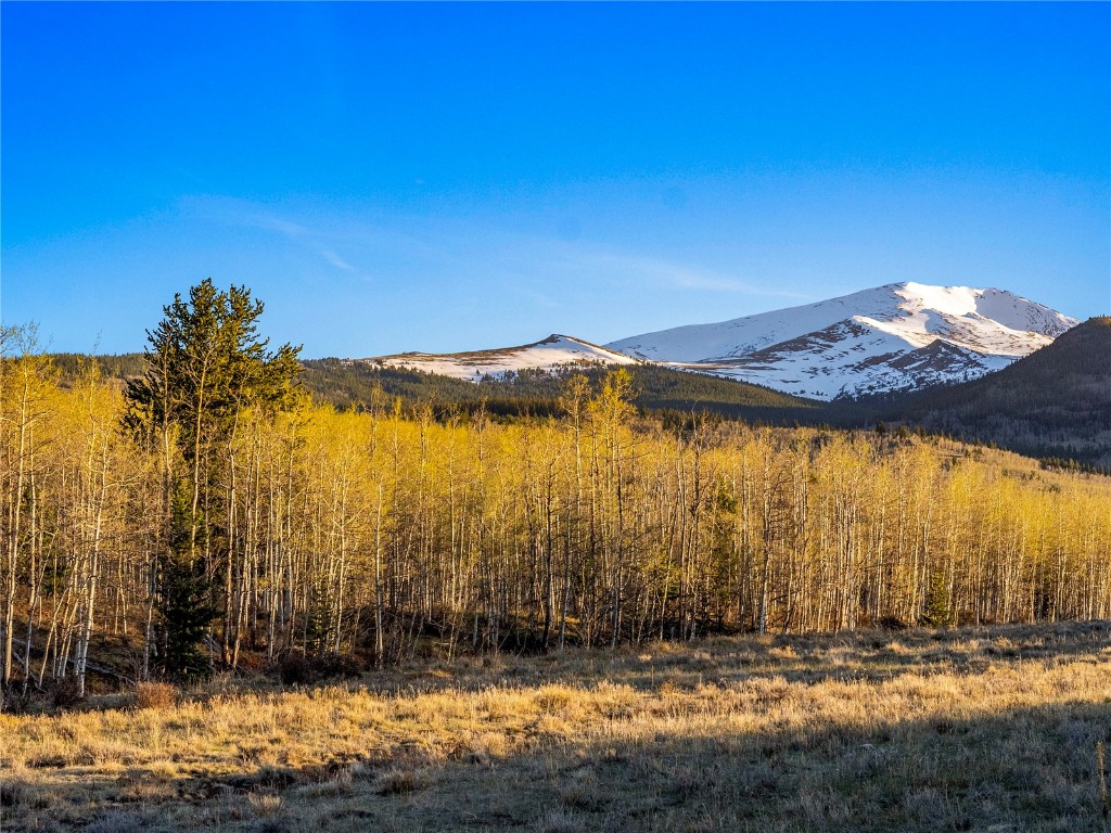 25335 Us Highway 285 Fairplay CO 80440