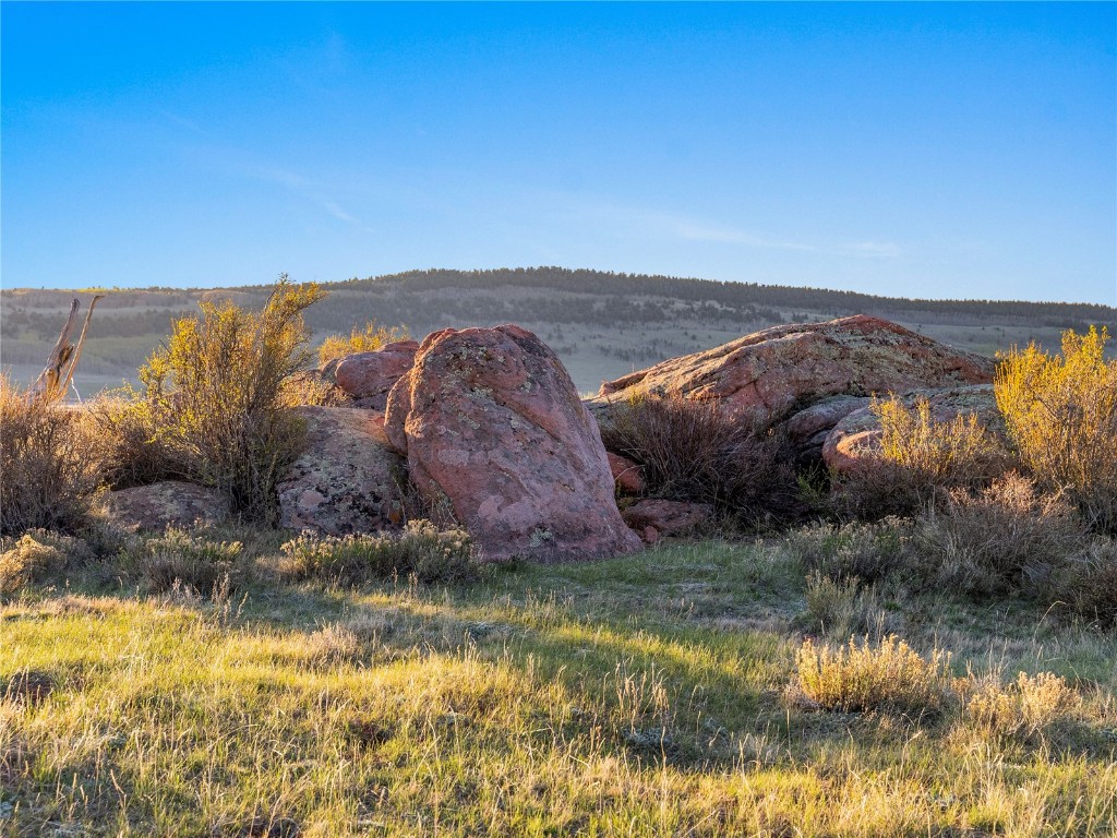 25335 Us Highway 285 Fairplay CO 80440