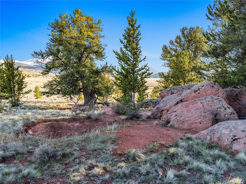 25335 Us Highway 285 Fairplay CO 80440