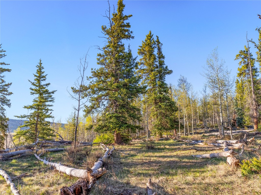 25335 Us Highway 285 Fairplay CO 80440