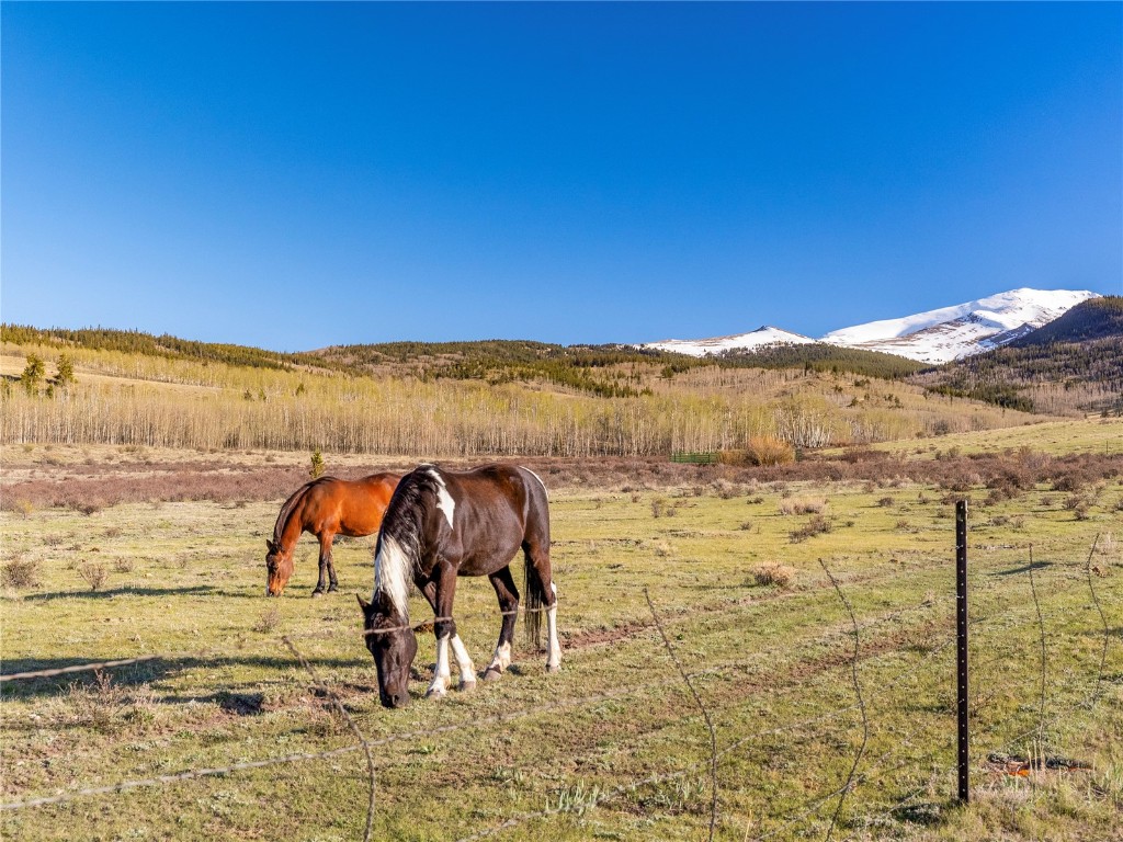25335 Us Highway 285 Fairplay CO 80440
