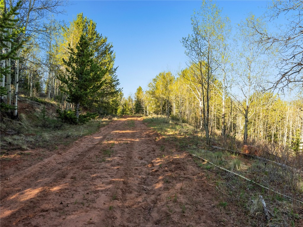 25335 Us Highway 285 Fairplay CO 80440