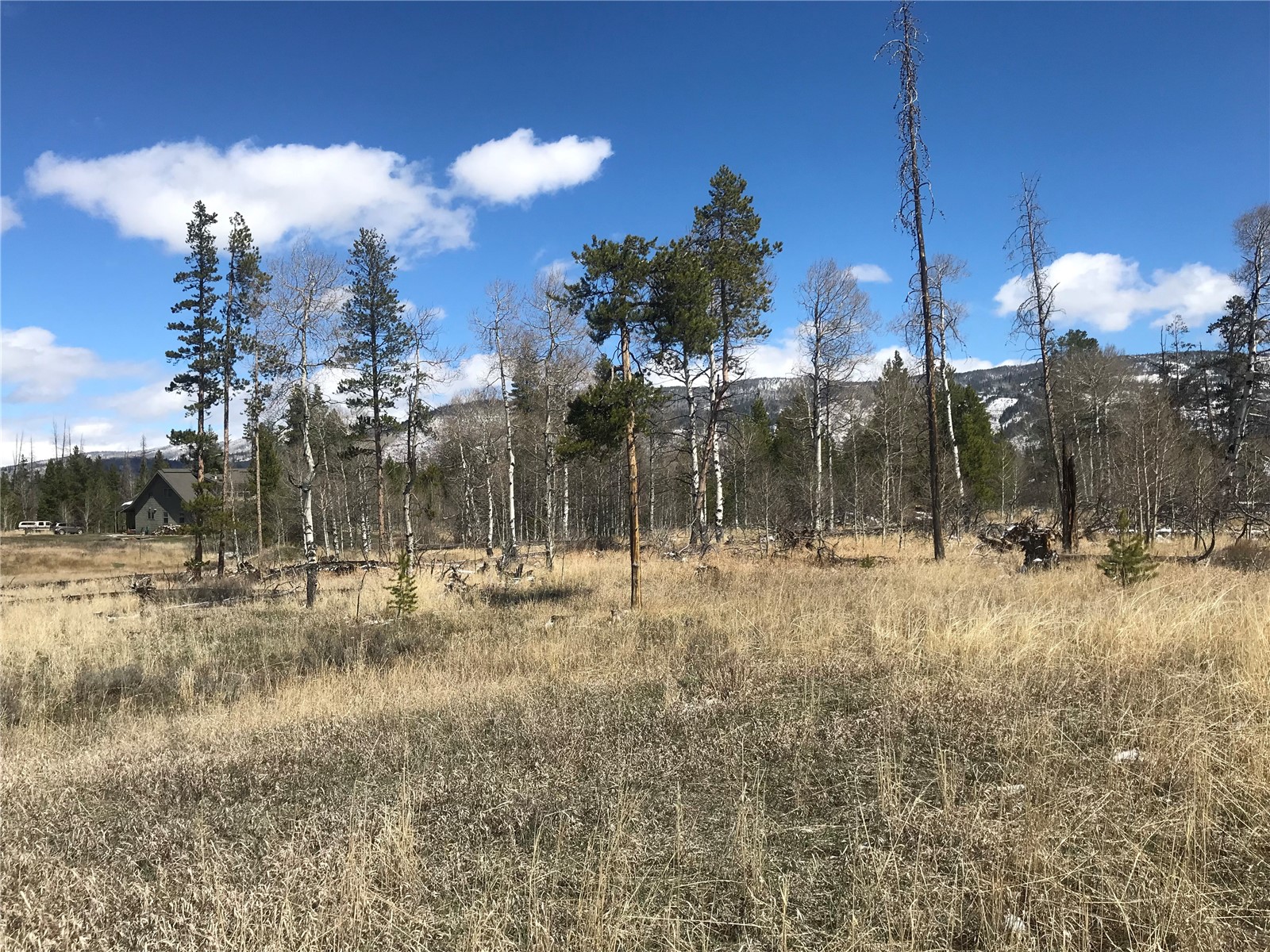 21070 Stallion Way Oak Creek CO 80467