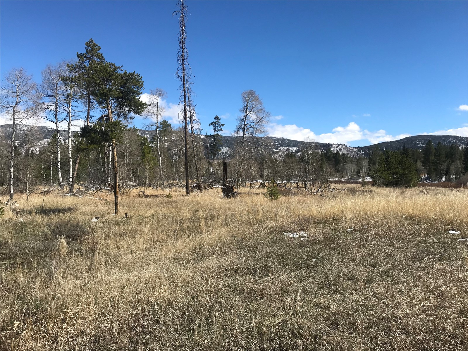 21070 Stallion Way Oak Creek CO 80467