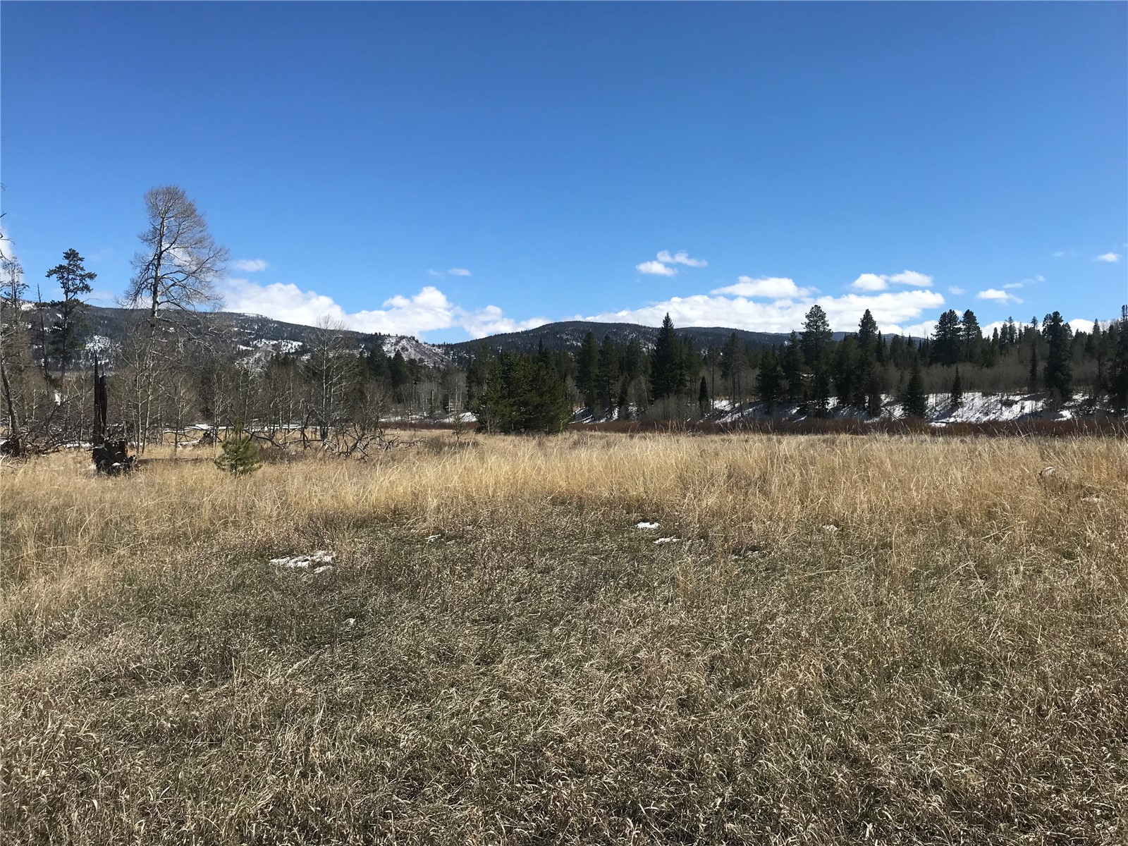 21070 Stallion Way Oak Creek CO 80467