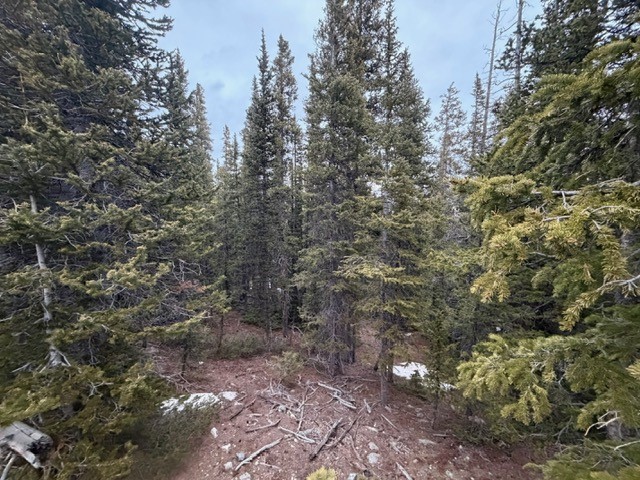 272 Grizzly Drive Fairplay CO 80440
