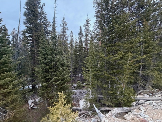 272 Grizzly Drive Fairplay CO 80440
