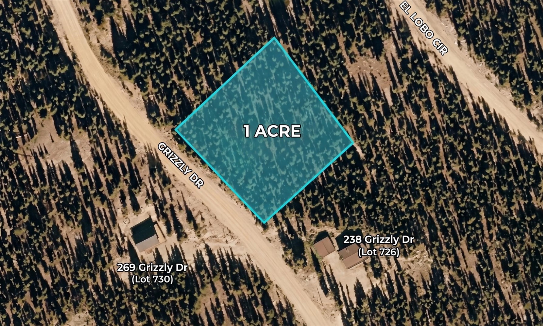 272 Grizzly Drive Fairplay CO 80440