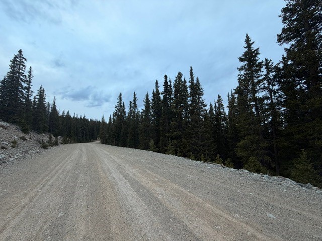 272 Grizzly Drive Fairplay CO 80440