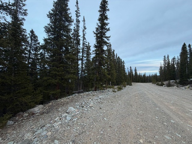 272 Grizzly Drive Fairplay CO 80440